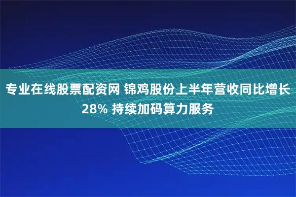 专业在线股票配资网 锦鸡股份上半年营收同比增长28% 持续加码算力服务