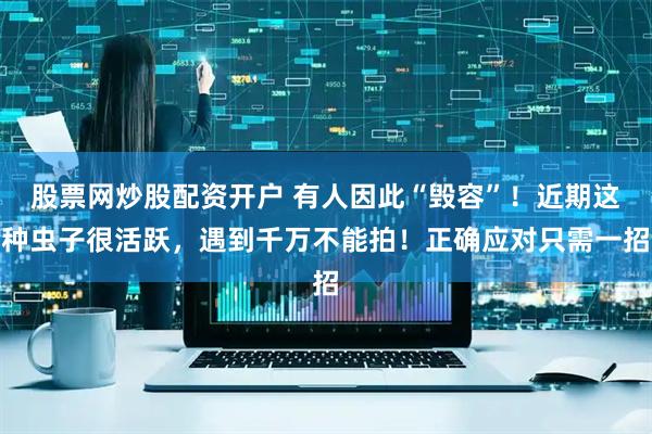 股票网炒股配资开户 有人因此“毁容”！近期这种虫子很活跃，遇到千万不能拍！正确应对只需一招