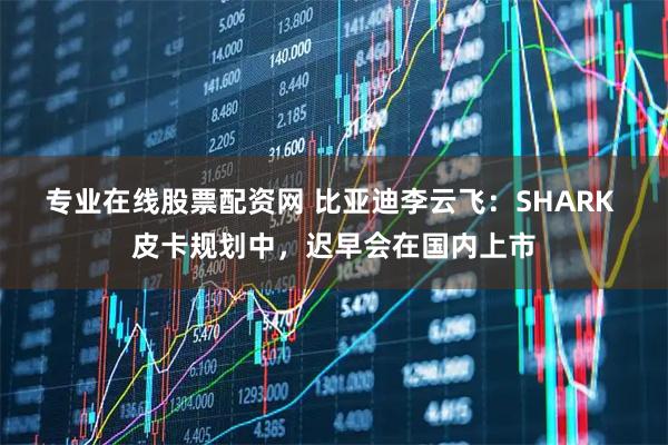 专业在线股票配资网 比亚迪李云飞：SHARK 皮卡规划中，迟早会在国内上市