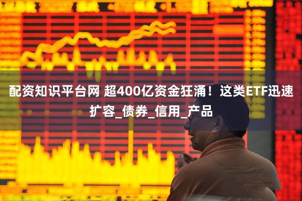 配资知识平台网 超400亿资金狂涌！这类ETF迅速扩容_债券_信用_产品