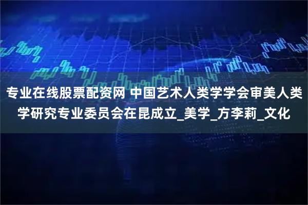 专业在线股票配资网 中国艺术人类学学会审美人类学研究专业委员会在昆成立_美学_方李莉_文化